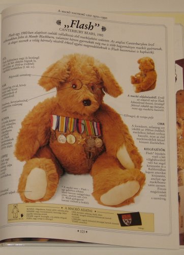 nagykonyv_10.jpg nagykonyv_10.jpg