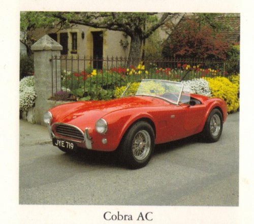 Cobra AC 289