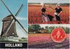 Hollandia - Tulipánország