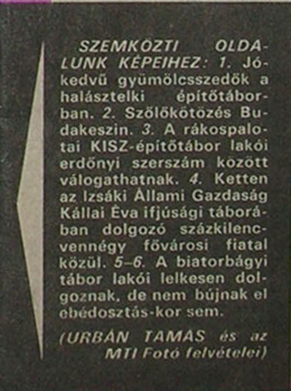 Kisz tábor