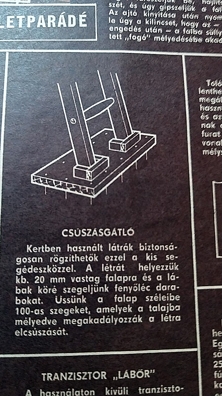 20220617_120951.jpg
