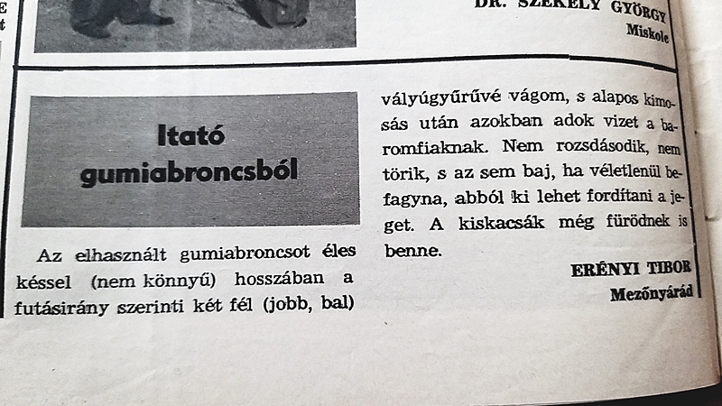 20200517_130208.jpg