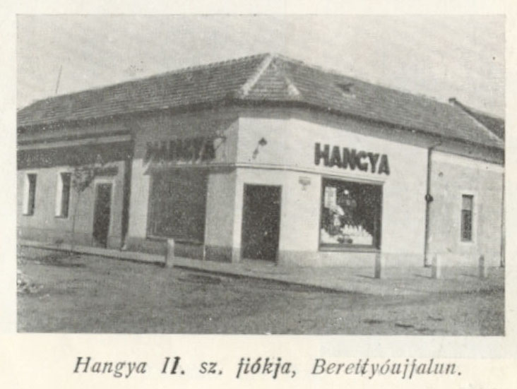 hangya3.jpg