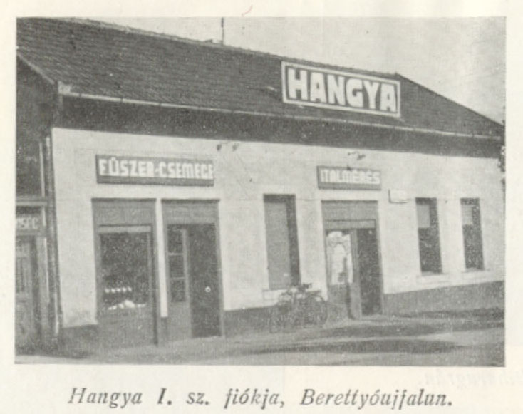 hangya2.jpg